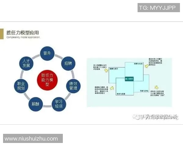 高校联赛分析LNG选手个人能力与团队协作的表现评估