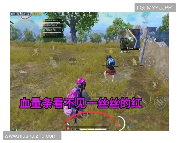 和平精英中FPX边路渗透策略的优缺点分析与战术启示